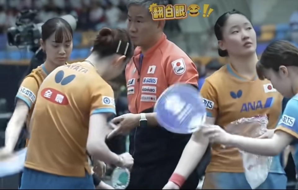 父母都是中 父母都是中